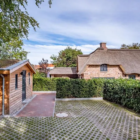 Duenenkate Duenenkate