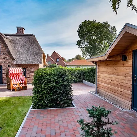 Duenenkate Duenenkate *