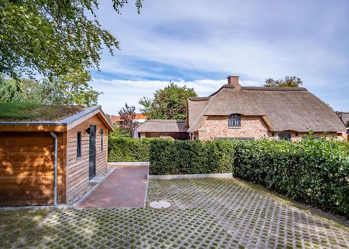 Duenenkate Duenenkate